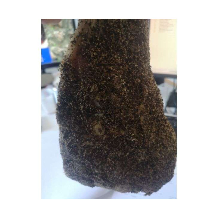 GUANCIALE PAVE POIVRE 1.5K ENV
