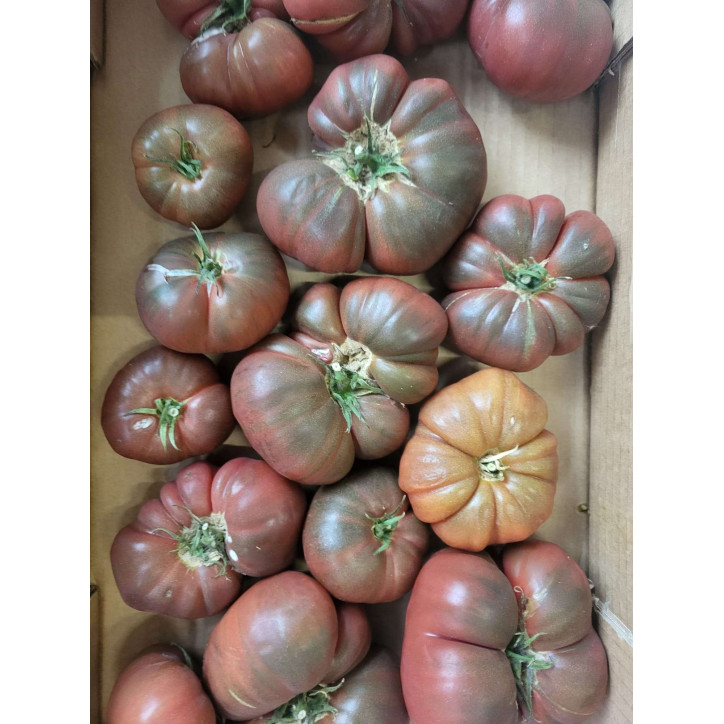 TOMATE NOIR DE CRIMEE AU KG - FRANCE