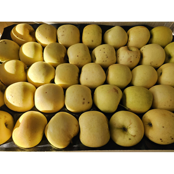 POMME GOLDEN AU KG - 170 + - FRANCE-PILAT