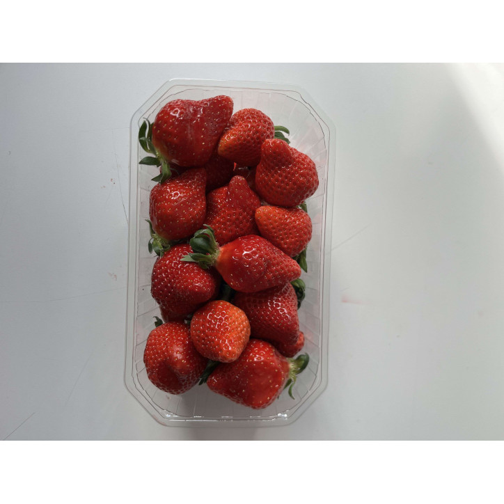 FRAISE 500 G