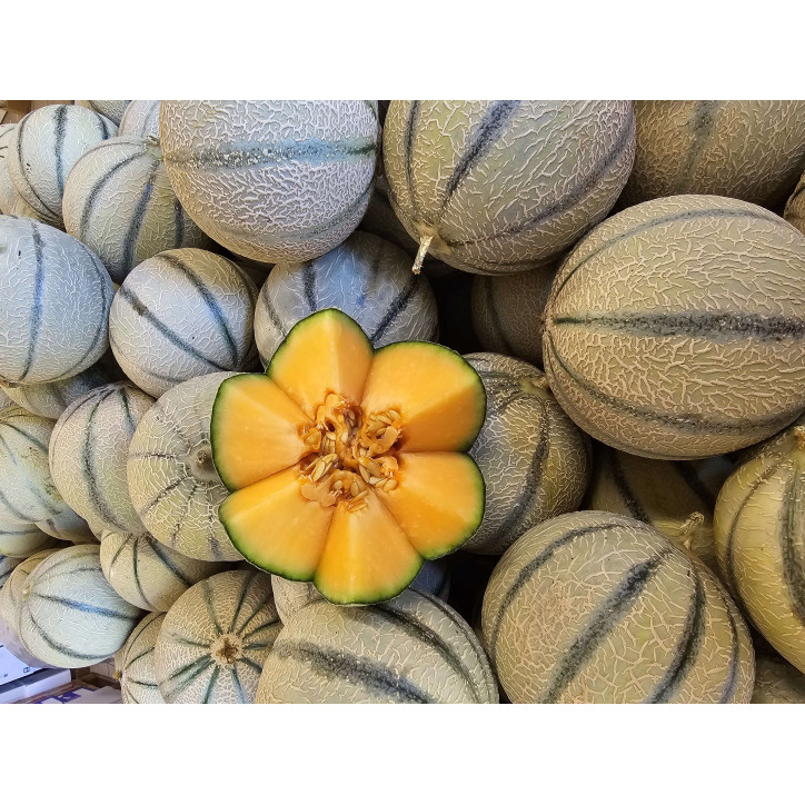 MELON CHARENTAIS A LA PIECE - FRANCE