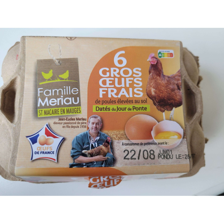 6 GROS OEUFS SOL