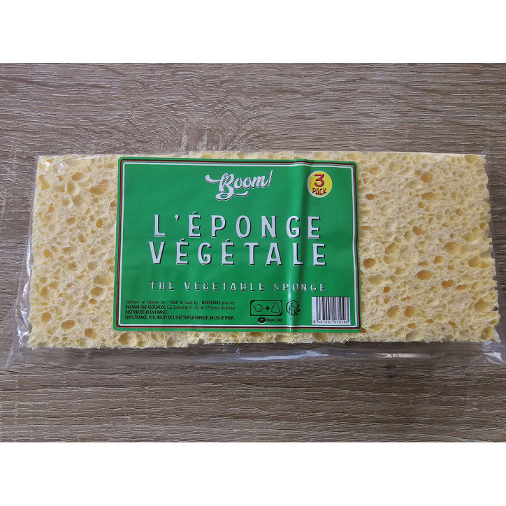 EPONGE VEGETALE X3