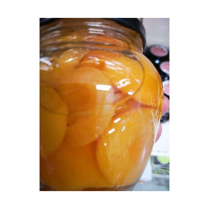 ABRICOTS EN SIROP 570GRS