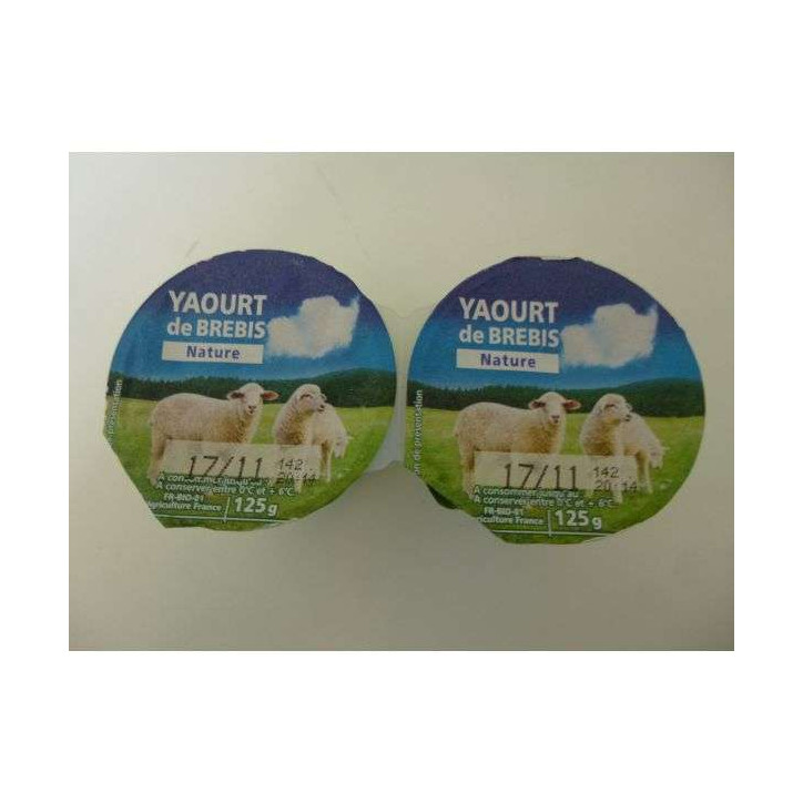 YAOURT DE BREBIS 250GRS