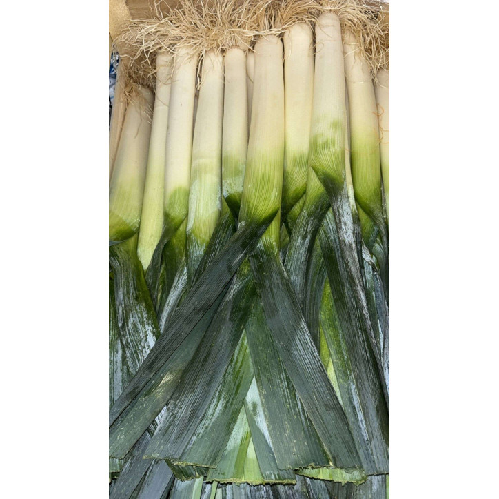  POIREAU AU KG - CAT1 - FRANCE