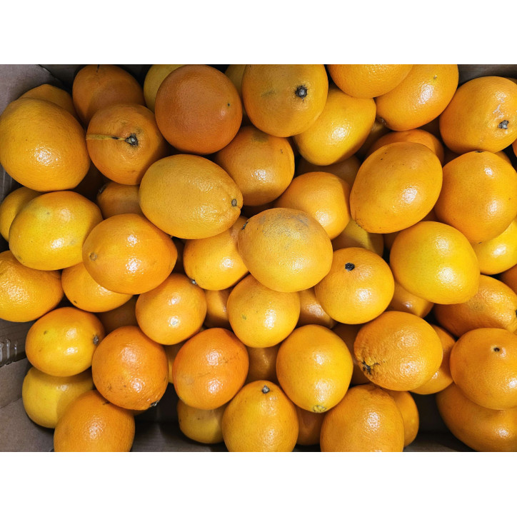 ORANGE AU KG 