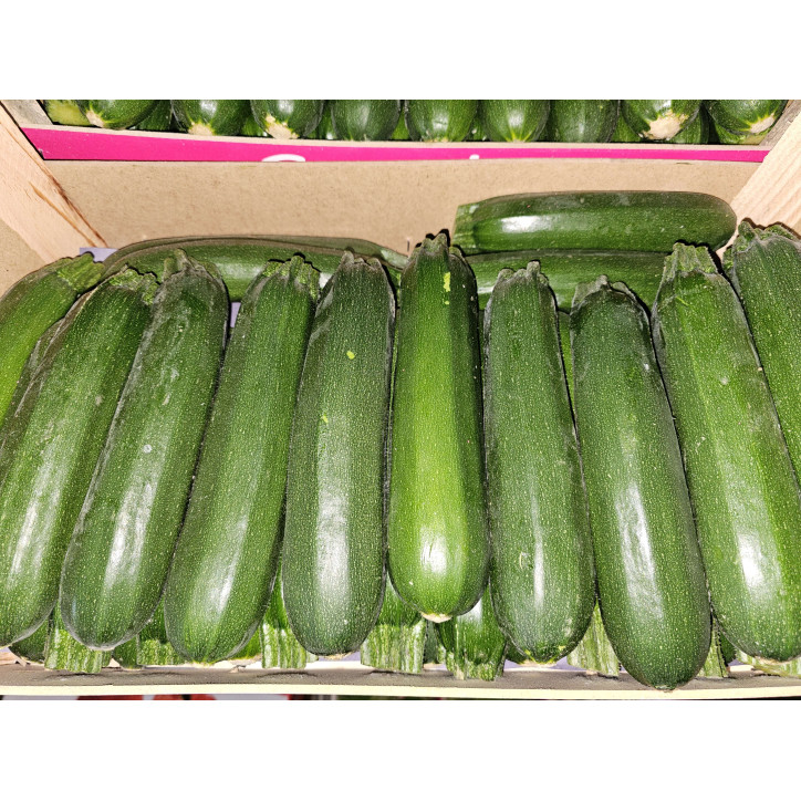 COURGETTE VERTE AU KG - ESPAGNE