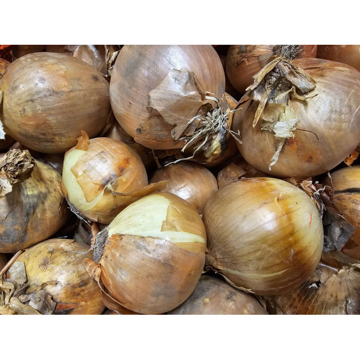 OIGNONS AU KG - FRANCE - 60/80