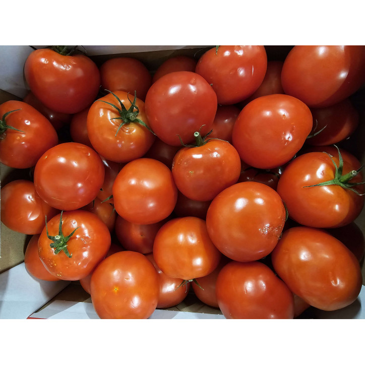 TOMATES RONDE AU KG 