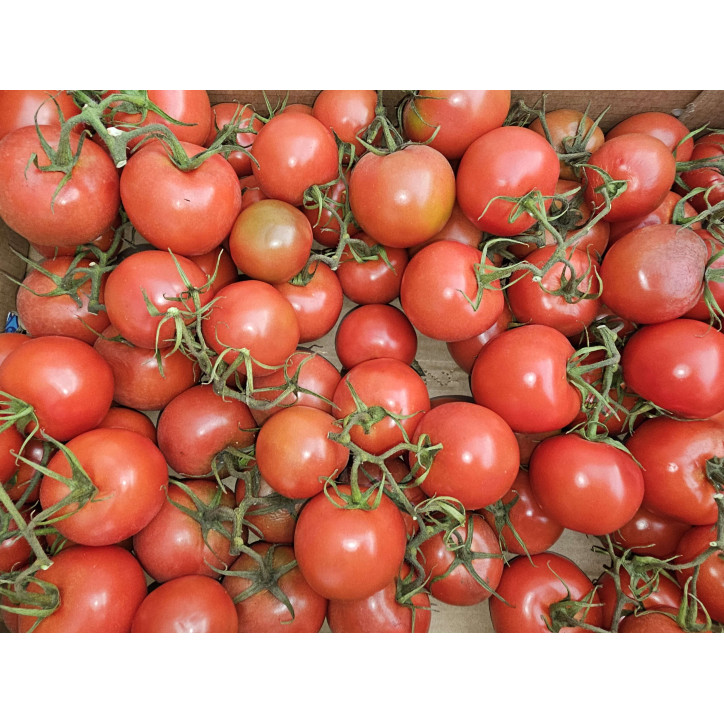 TOMATES GRAPPES AU KG - FRANCE
