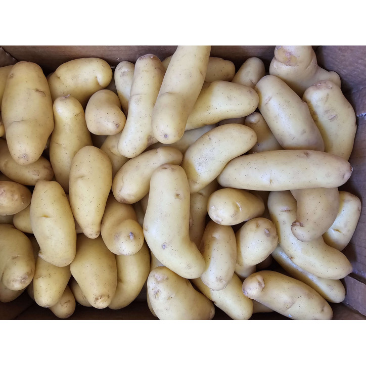 POMME DE TERRE DELICATESS AU KG - FRANCE
