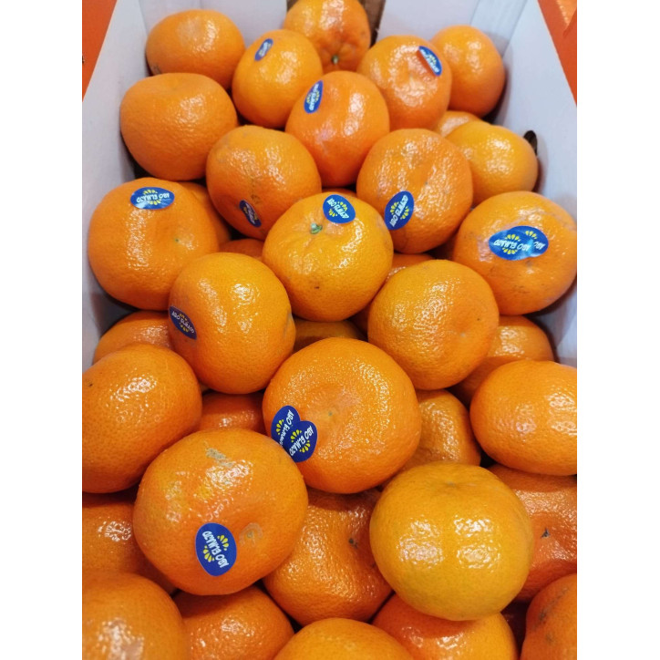 CLEMENTINE AU KG 