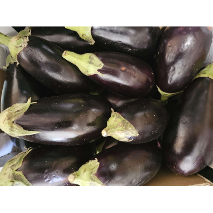AUBERGINE AU KG  - ESPAGNE