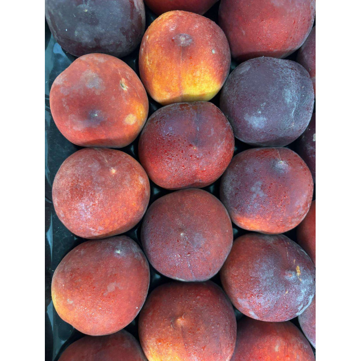 NECTARINE AU KG - ESPAGNE