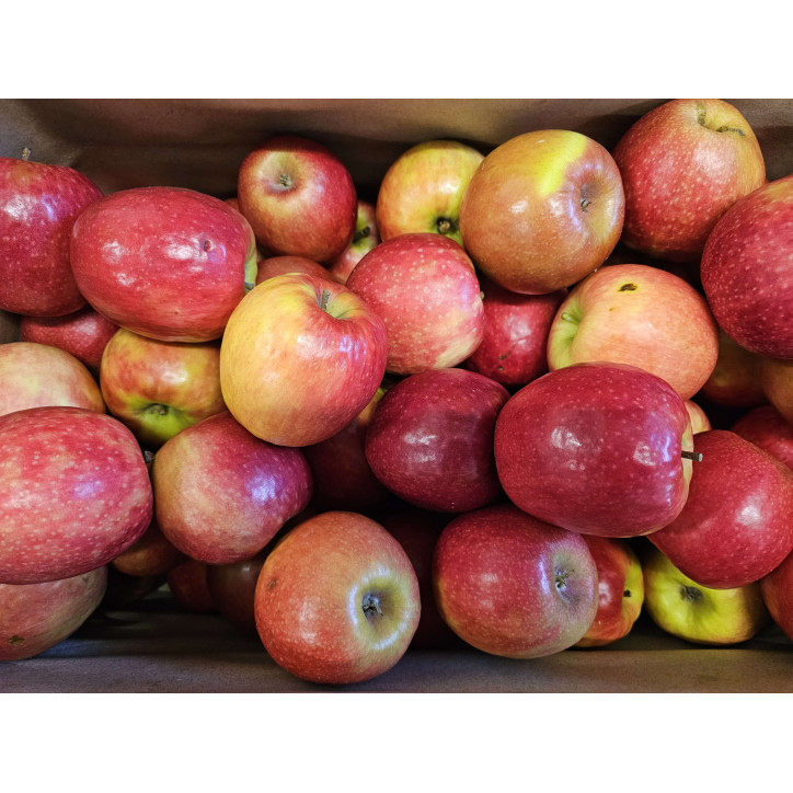 POMME CRIPPS PINK AU KG FRANCE