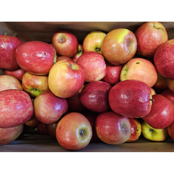 POMME CRIPPS PINK AU KG 