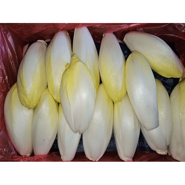ENDIVE AU KG - BELGIQUE