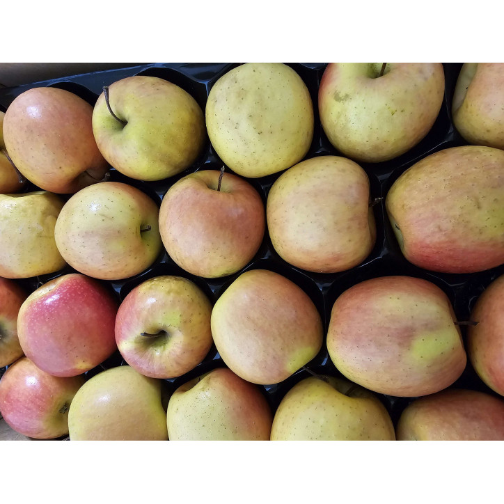 POMME ROSEE DU PILAT AU KG - FRANCE