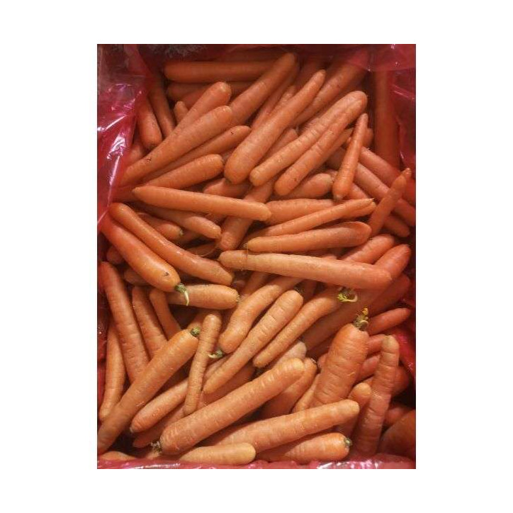 CAROTTES AU KG - FRANCE